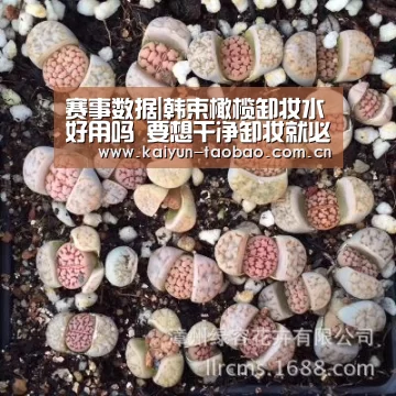 赛事数据|韩束橄榄卸妆水好用吗 要想干净卸妆就必须得这样(图3) 开云体育
