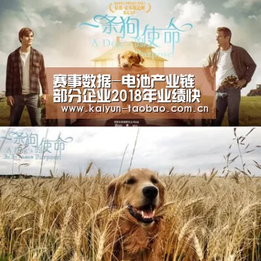 开云官网